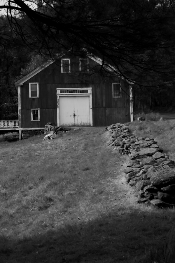 2010 10 11 IMG 11617bw